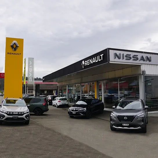 Garage Keigel Zwingen