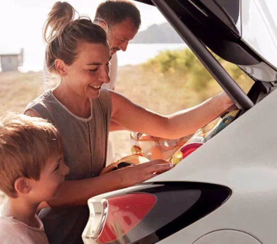 Ford Service Sommer-Check