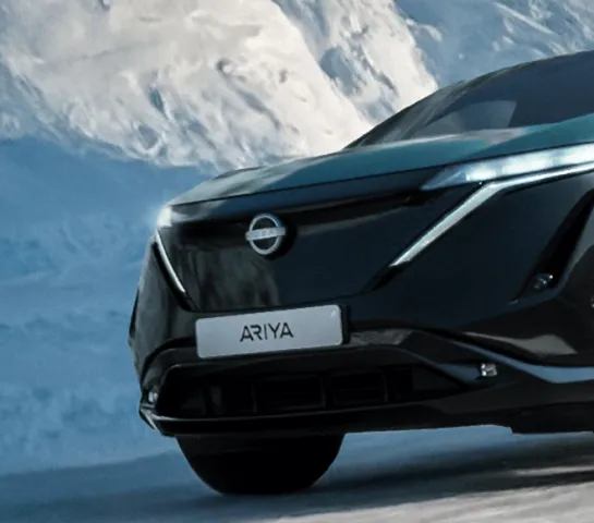 Nissan Wintercheck 