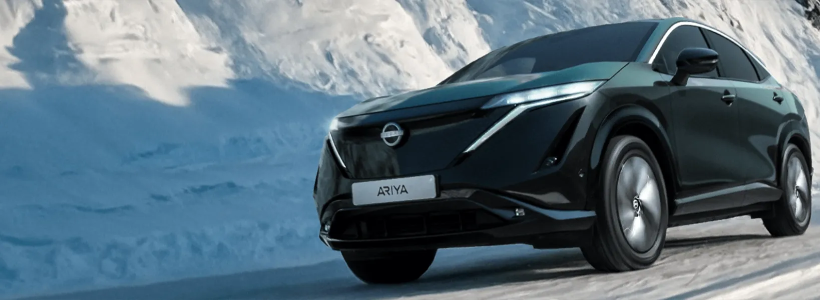 Nissan Wintercheck 